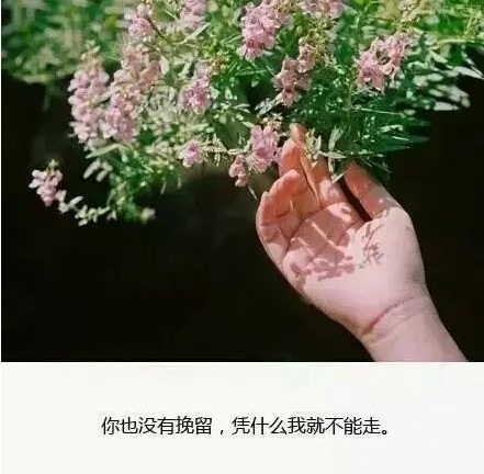 陈墨涵照片