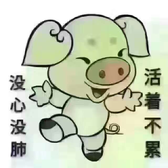 随心所欲